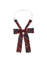 Venus リボン（ラメ/レジメ紋章）