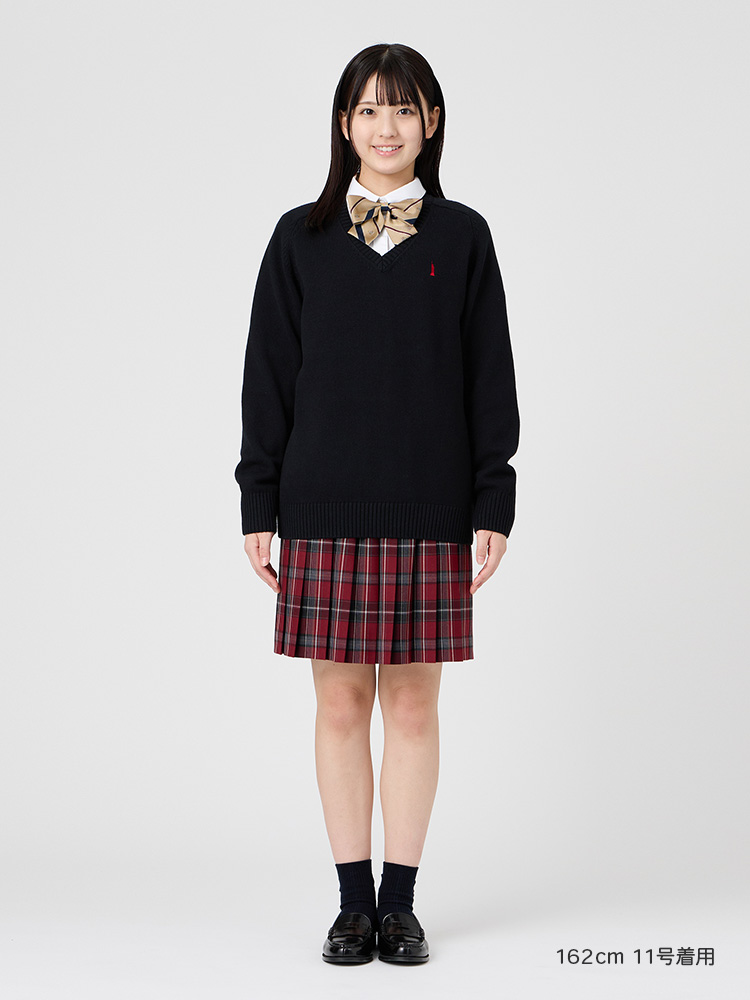 Venus リボン（ラメ×レジメ紋章）