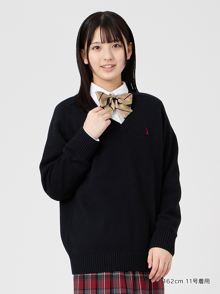 Venus リボン（ラメ×レジメ紋章）