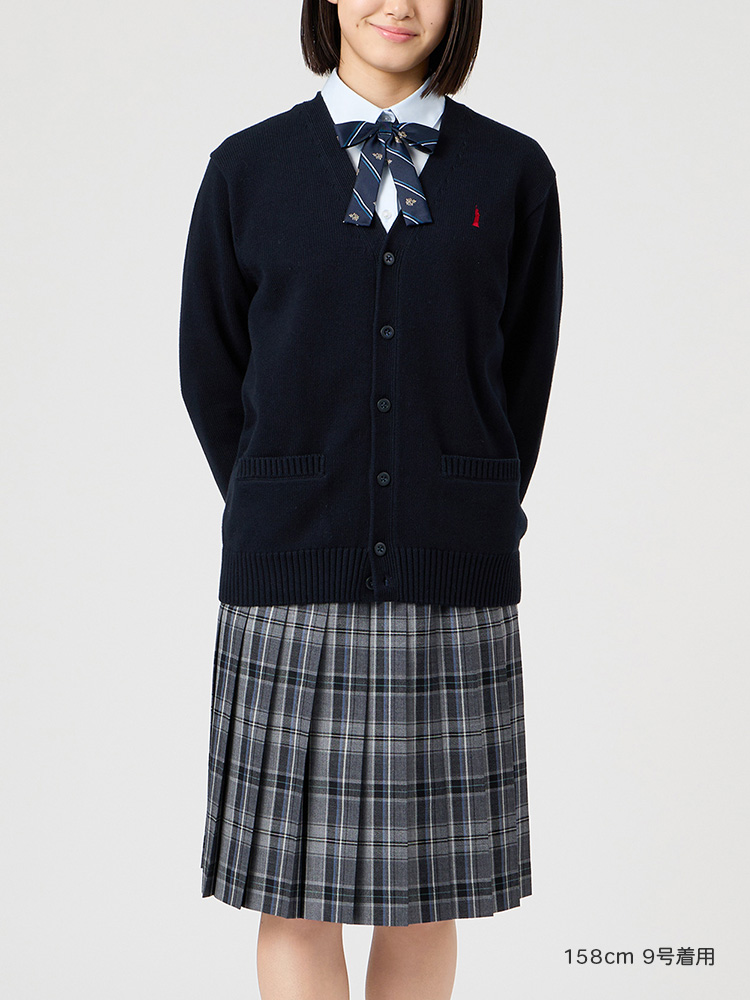 タータンチェックスカート〈58cm丈〉裏地付