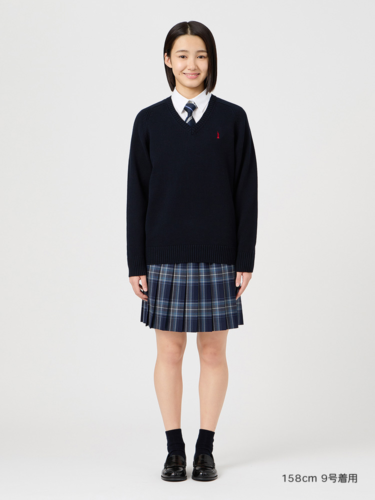 Yタイ（レジメ柄）