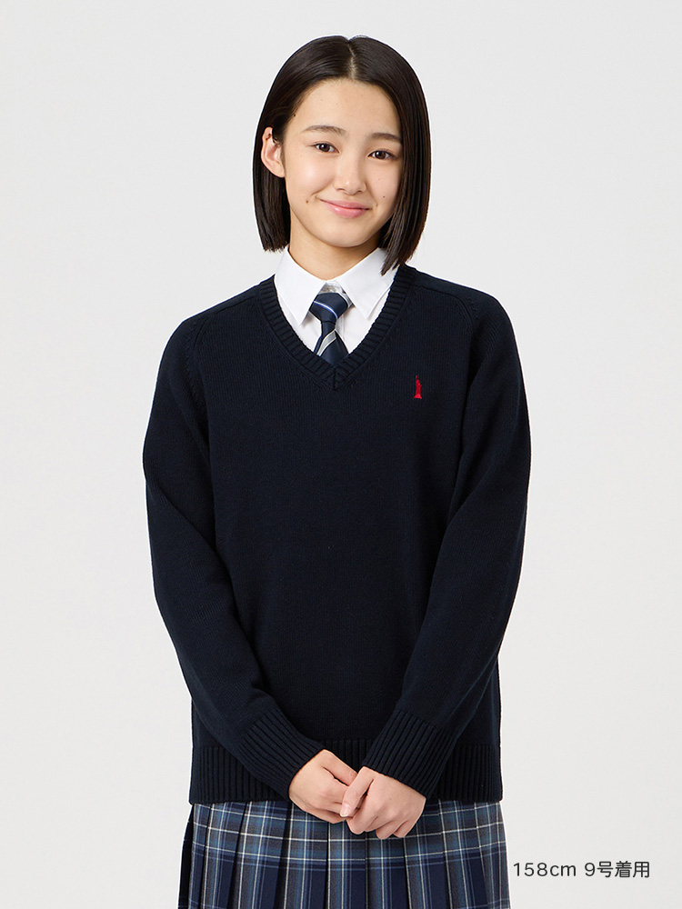 Yタイ（レジメ柄）