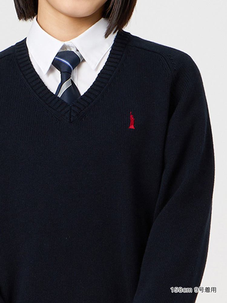 Yタイ（レジメ柄）